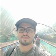 Profesor de física con experiencia, preparación Paes y apoyo universitarios, ingeniero Titulado